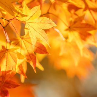 Súťaž: Najkrajší príbeh o liste 